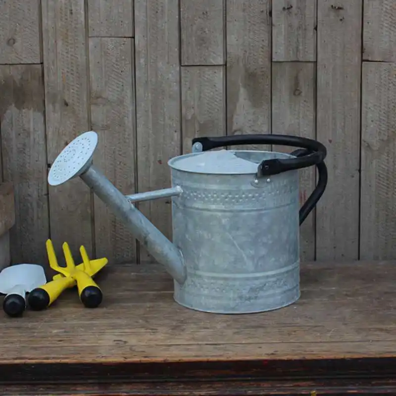 

Iron Forged Korean Sle Large Capaci Vintage Gardening Watering Can Flower Misting Bottle eenery Care Spray Can Watering...