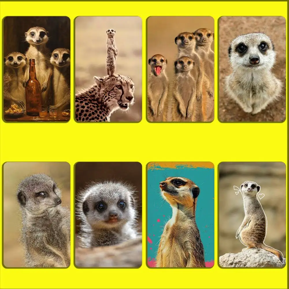 

Leopard Funny Lovely Meerkat Card Stickers For Debit Bank Credit Cards Metro Bus Pass Sticker Decoration Cover 4PCS Card Skin