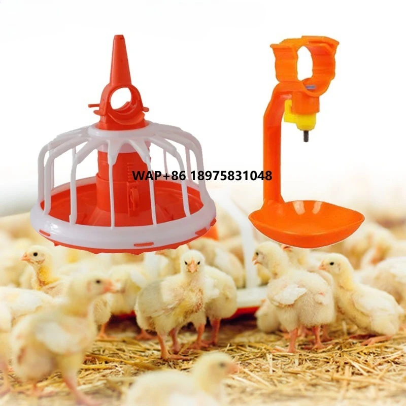 Stainless Steel Poultry Breeding Machine for Broiler/layer Chickens with Feeding System New
