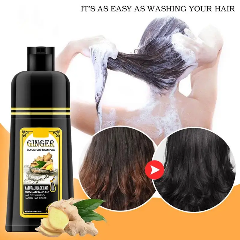 

500ml Ginger shampoo coconut Shampoo Natural Hair Dye Shampoo Blacking Gray Hair Dye Black Shampoo For White Coloring