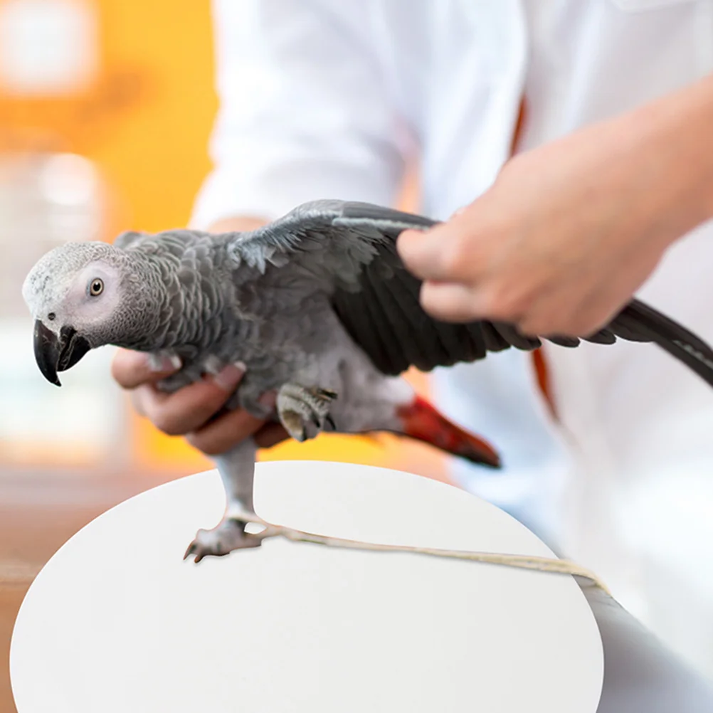 

100 Pcs Bird Cage Paper Parrot Accessory Urine Mat Bottom Liner Round Outdoor Non-woven Fabric Parakeet Pet Pad