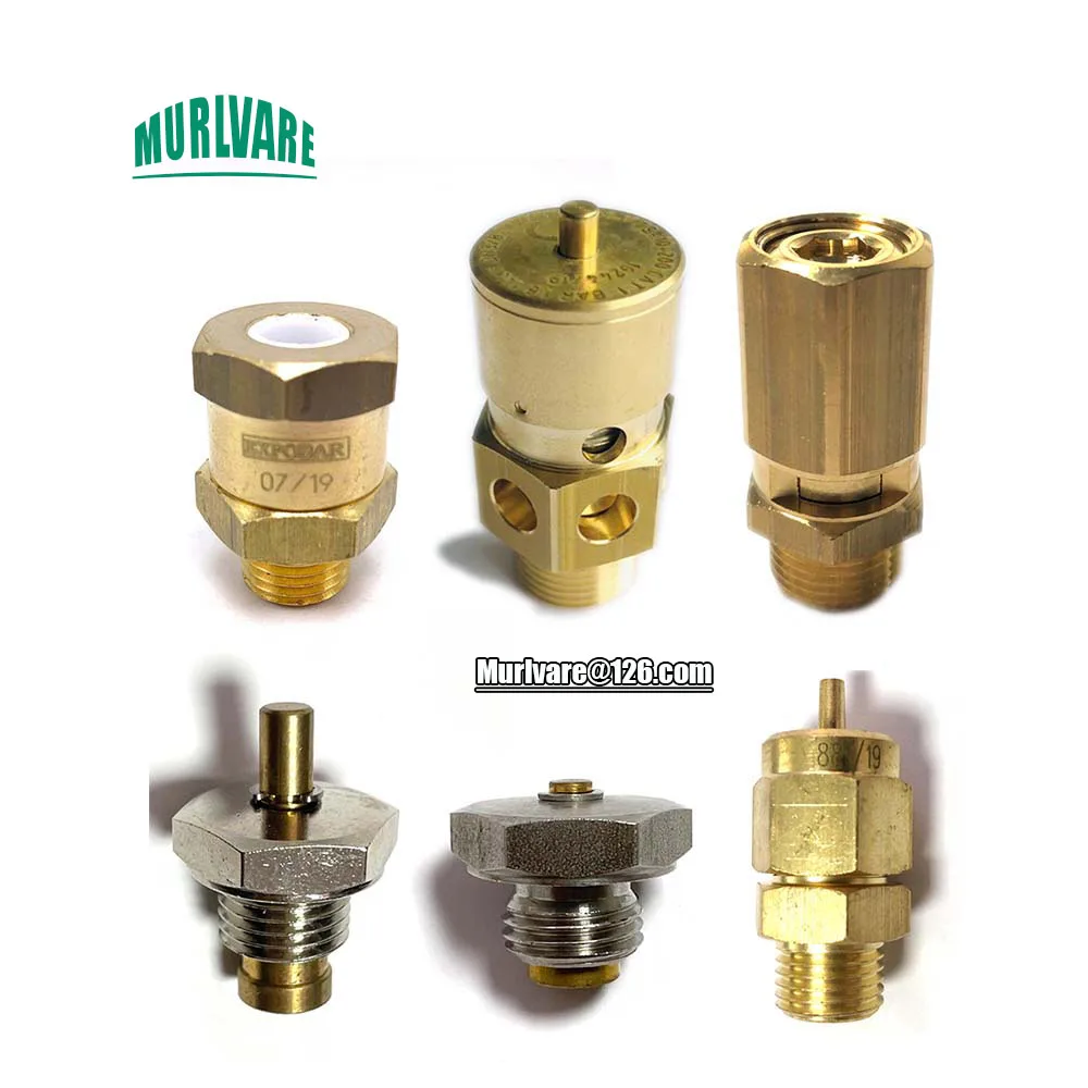 Coffee Machine Boiler Low Pressure High Pressure Protection Safety Valve Vacuum Destruction Safety Valve For Expobar Faema NUOVA