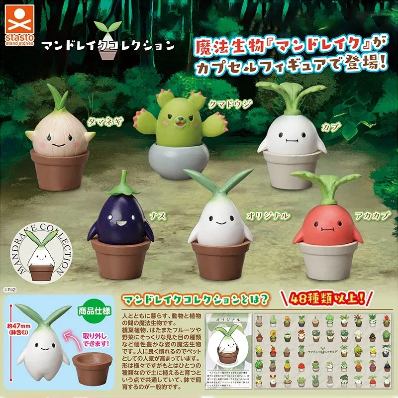 STASTO Gashapon Mandrake Potted Plant Man of Magic Creatures Garlic Eggplant Radish Cactus Capsule Toy Figure Collect Ornament