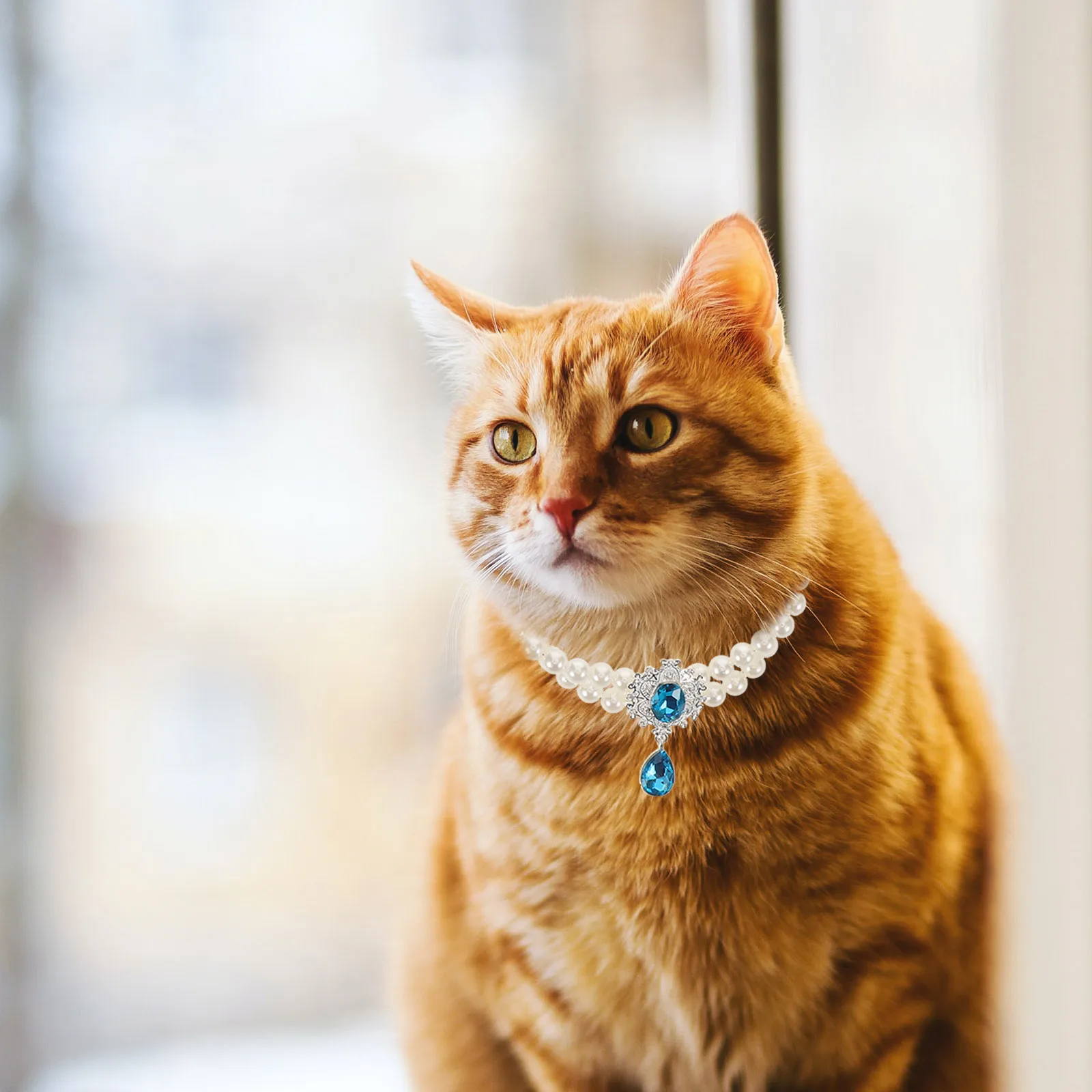 

3 Pcs Pet Diamond Necklace Cat Collar Chain Jewelry Beaded Dog Accessories for Pets Pendant Necklaces Adjustable