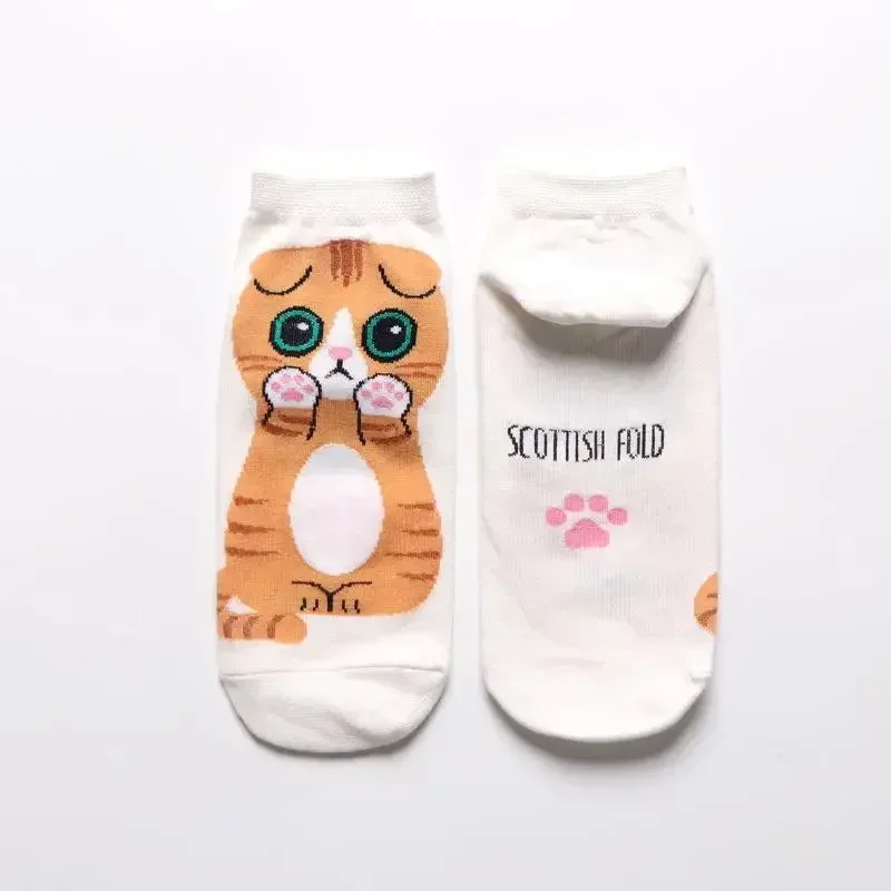 브라운