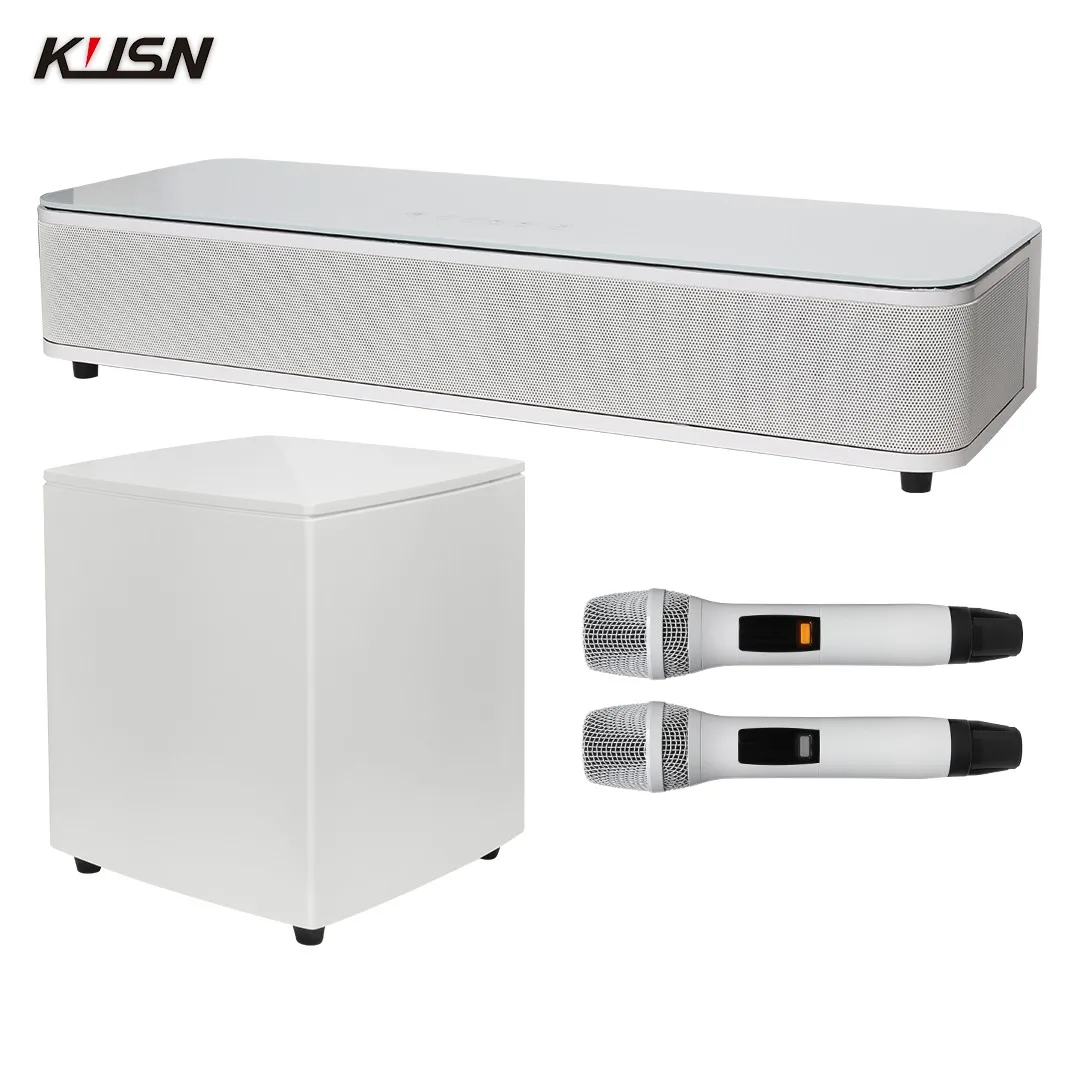 

10 Inch Subwoofer Speaker Home Theater KTV Sound System Set With Hi-Res UFH Microphones