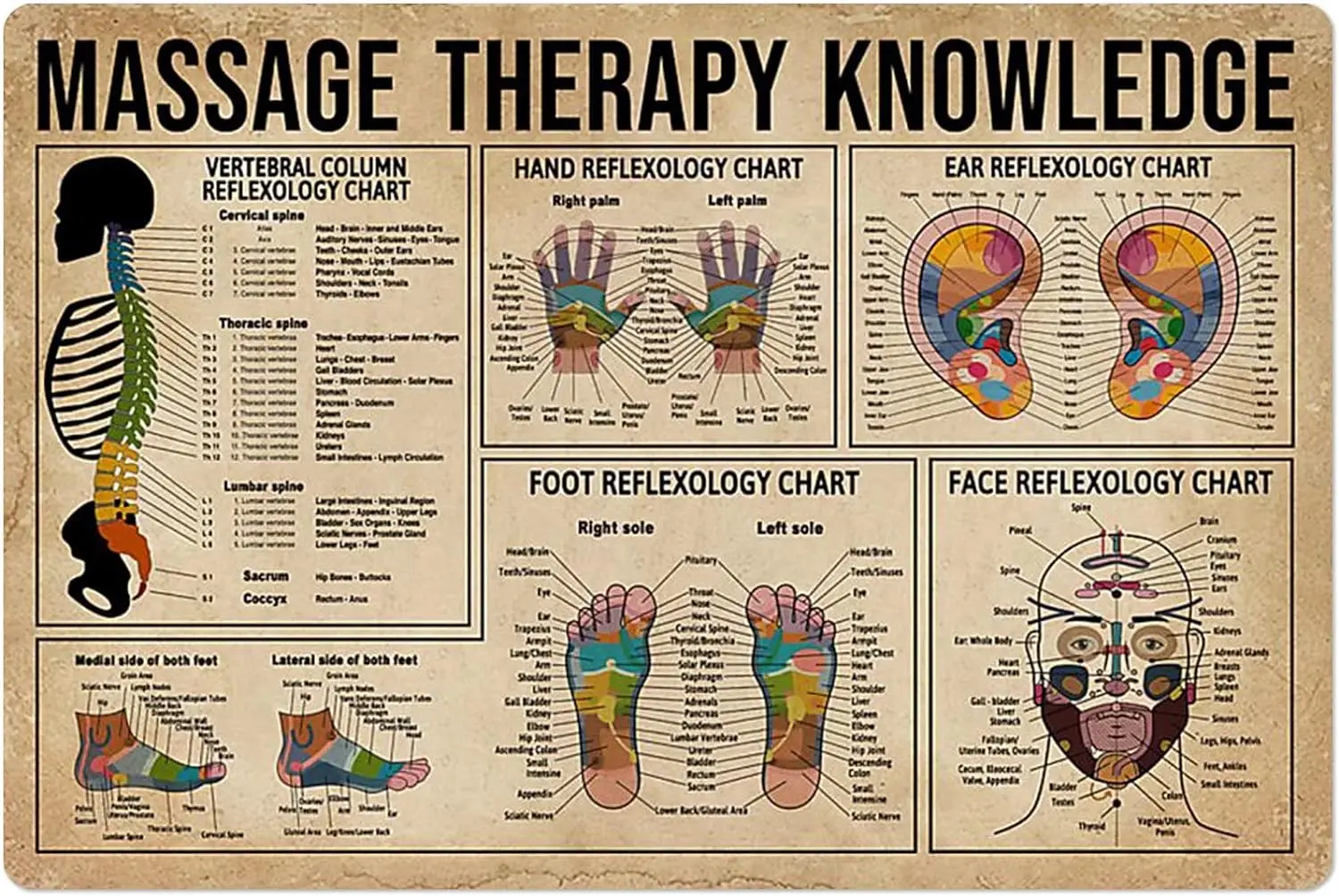 Massage Therapy Knowledge Plaques Face Ear Hand Foot Reflexology Chart Retro Wood Signs Home Room Office Club Wall Hanging Deco