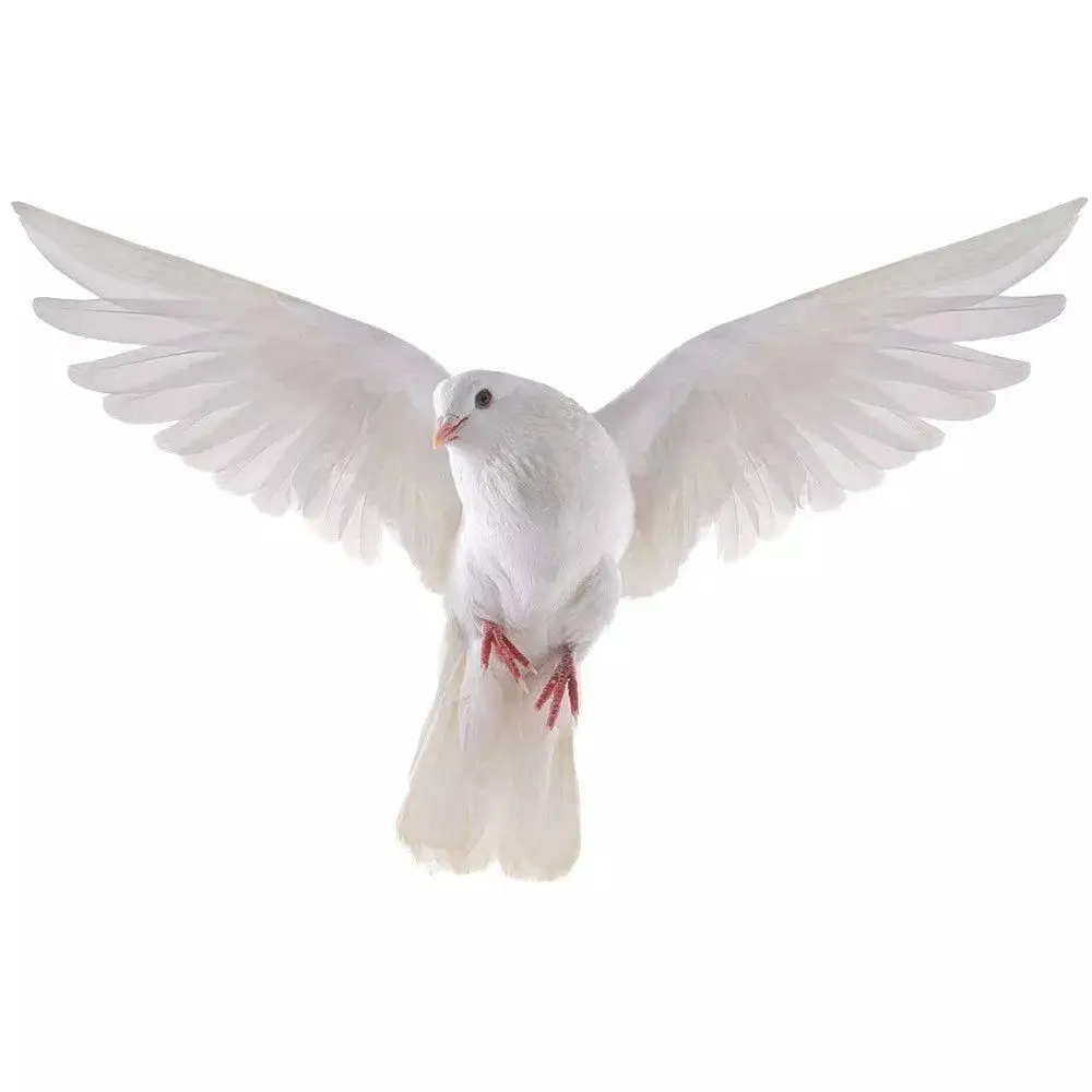Peace Dove Wall Stickers for Living Room Bedroom Bathroom Vinyl Decals Scratch-Proof Home Decoration Animal Wall Accessories view 4