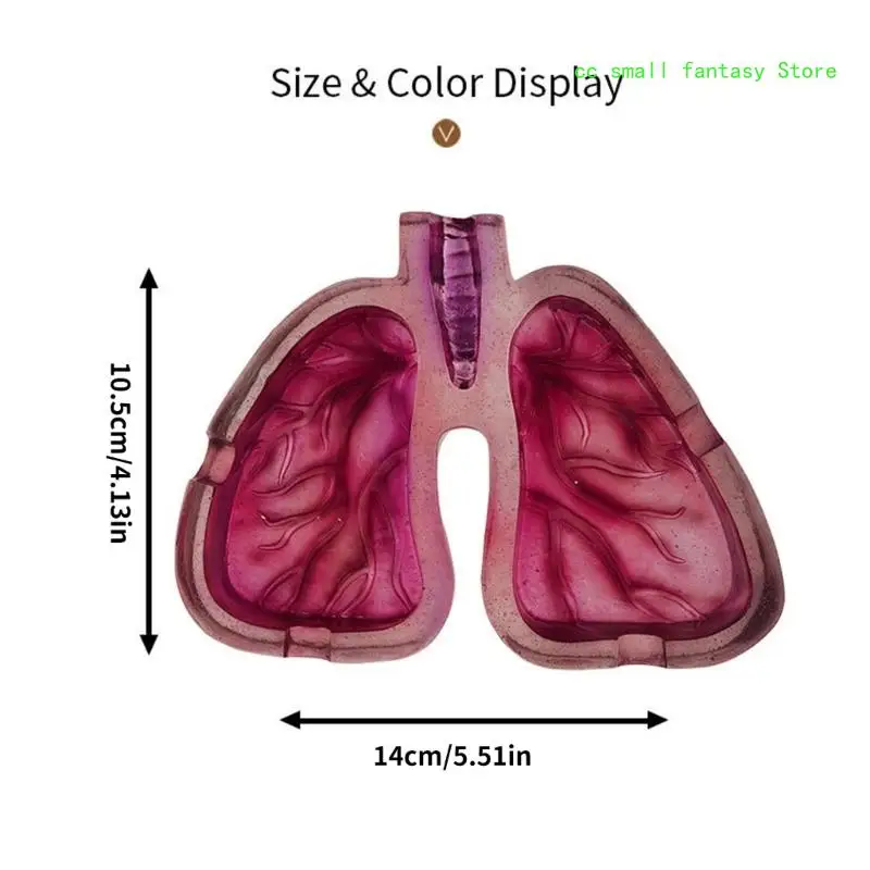 R3MA Unique Lung Shaped Ashtray Durable Easy to Clean Prevents Ashes from Flying Perfect Gift for Art Lovers and Smokers