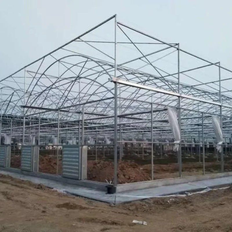 

Customized greenhouseCheap Multispan/Single Span Commercial Tunnel Plastic Film Agriculture Greenhouse with Seedbed Hydroponic f