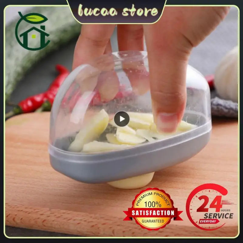 Rebanador de ajo 2 en 1, herramienta de cocina pequeña para el hogar, rallador de molienda de ajo de prensado Manual, utensilios de cocina y