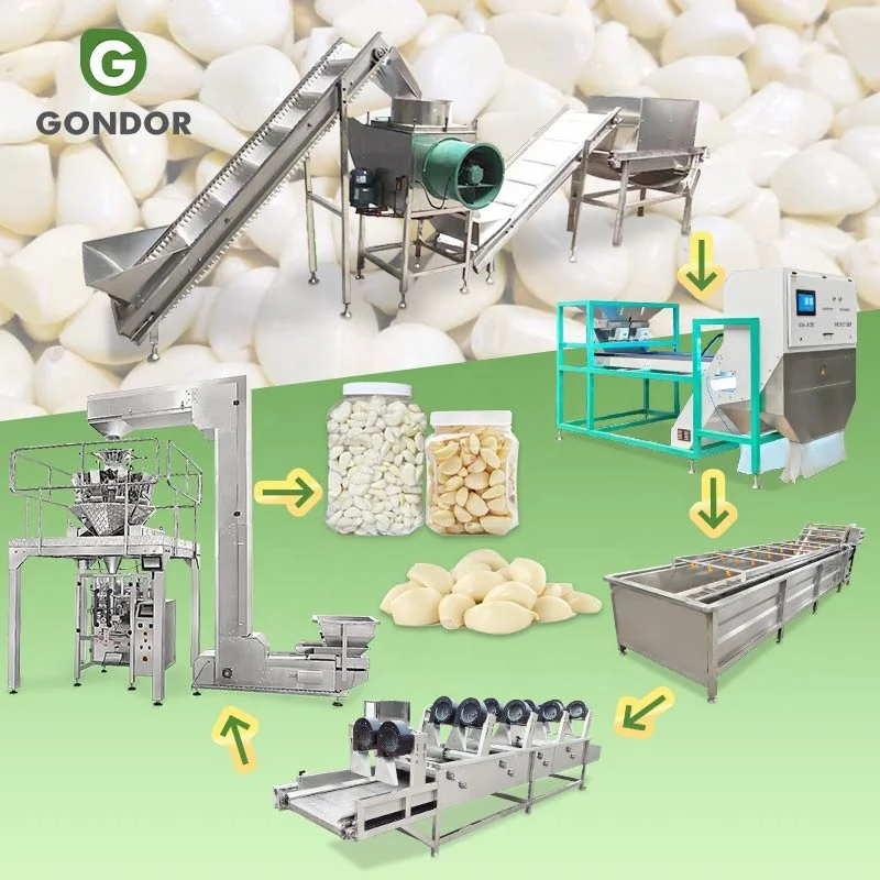 Ginger Industrial Automatic Bulb Break Garlic Make Peeler Separate Peel Machine and Product Line in Egypt