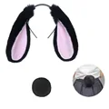 BLACK Lop Ear Tail