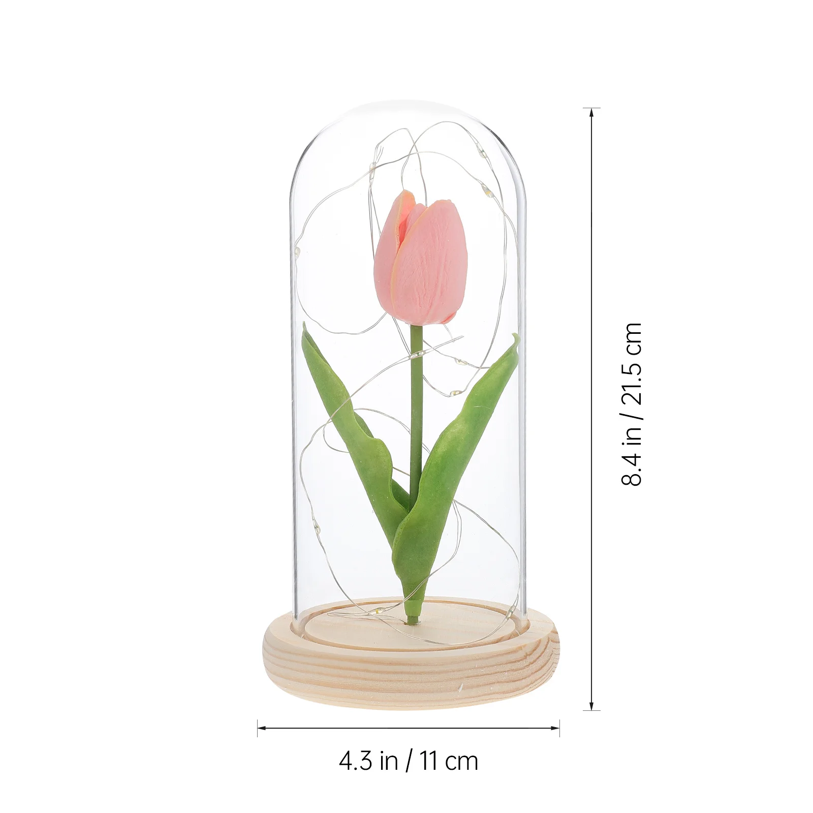 

Glowing Tulip Glass Dome LED Light Desktop Ornament Delicate Home Decor Romantic Gift LED Light Tulip Decor Festival Gift