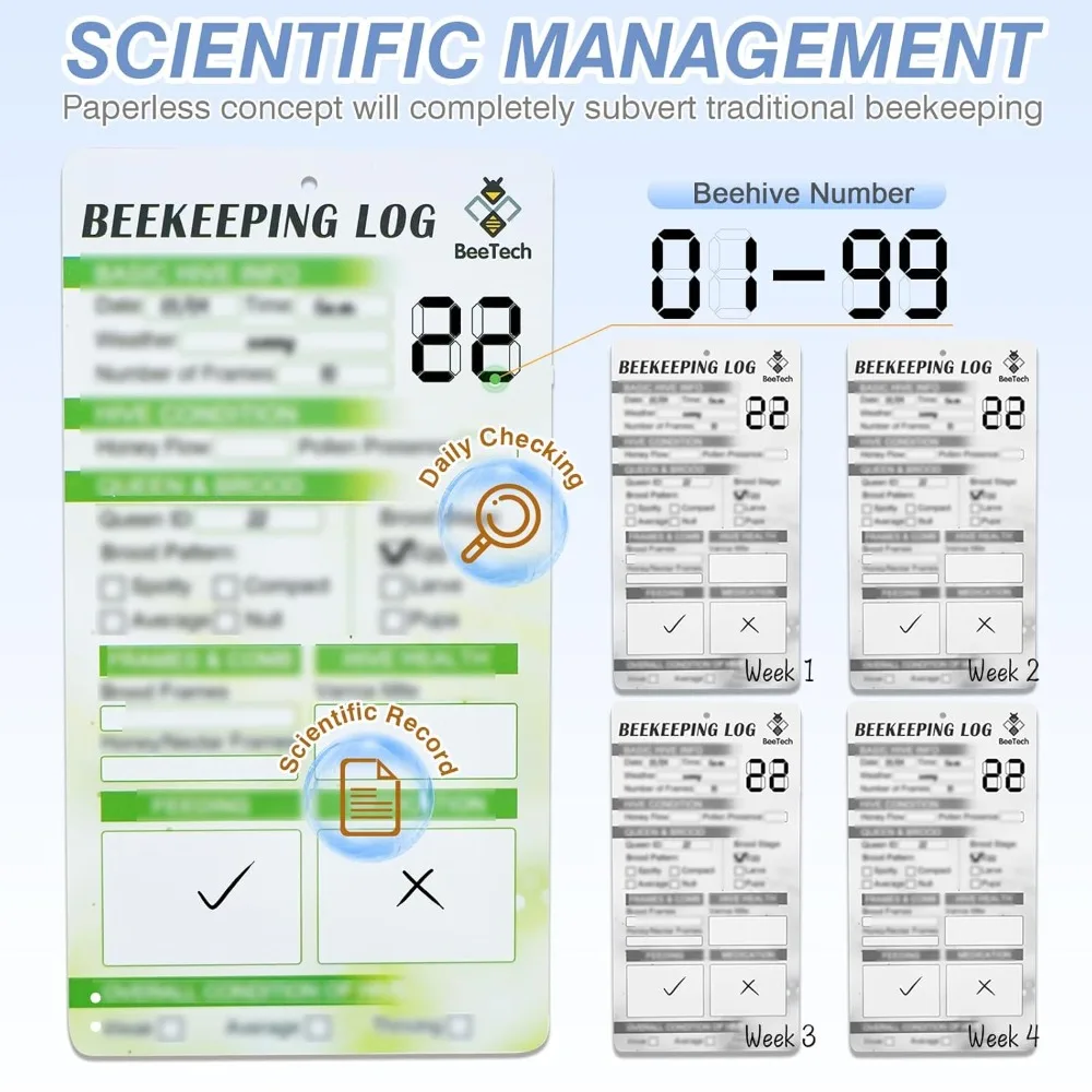أحدث مجموعة خلية النحل بإطار Windows 8 المطلية يدويًا تتضمن صندوق خلية النحل المفكك مع إطارات ونسيج خلية النحل (2 عميق و2) #5