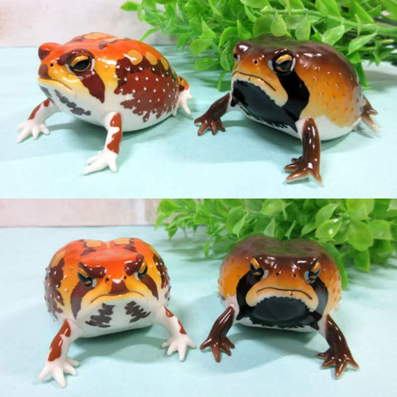 

Genuine Ikimon Steamed Bun Frog Japanese Dart Capsule Toy Realistic Toad Figurine Animal Encyclopedia Desktop Collectible Gift