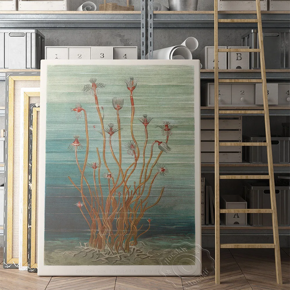 Eduard Oscar Schmidt Museum Exhibition Poster Group of Tubularia Indivisa (1884) Wall Art Canvas Painting Room Home Decor
