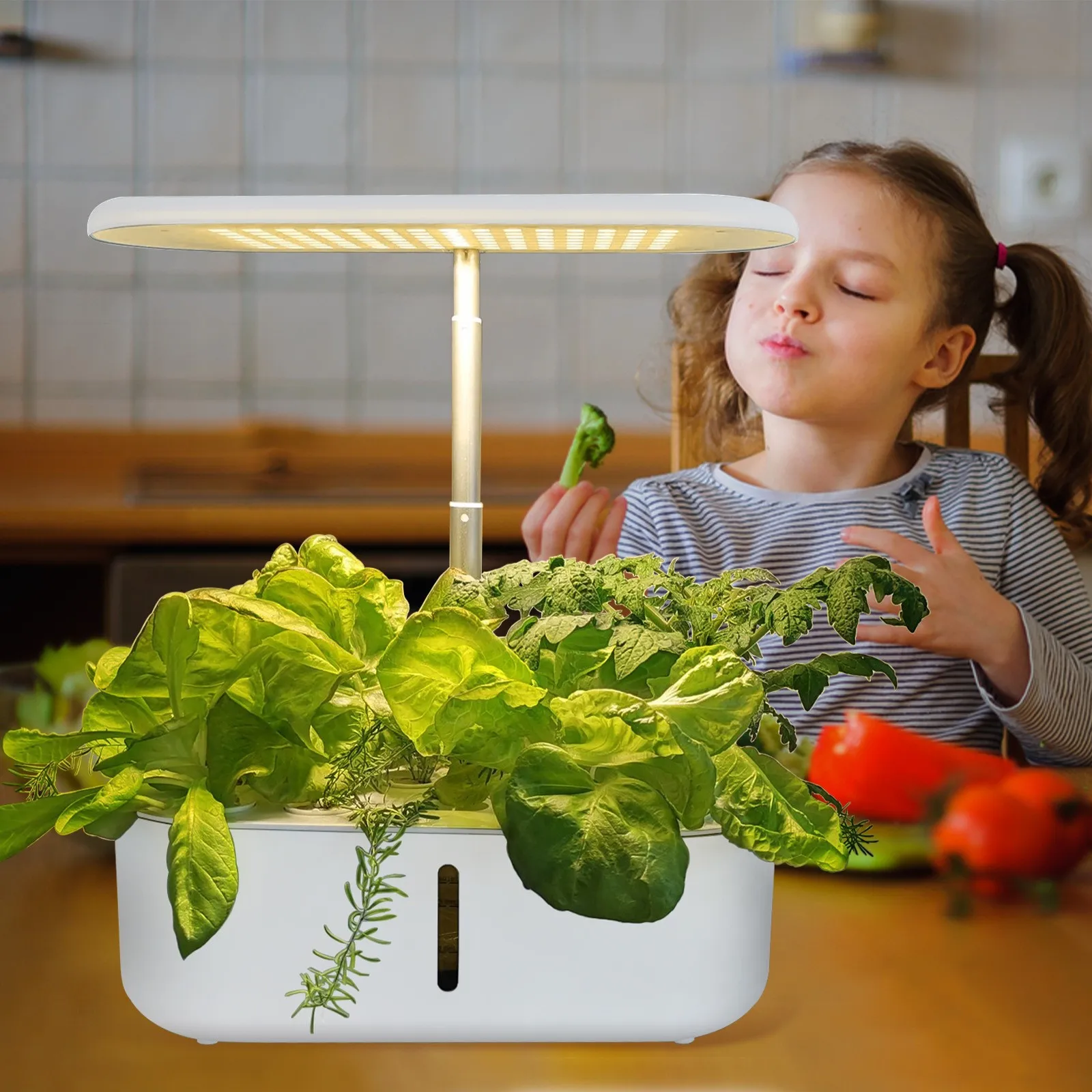 Plant growth machine Multispectral led hydroponics planter Imitation sunlight indoor lamp vegetable flower plant growth machine