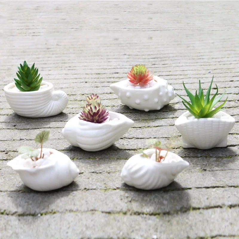 6 Pieces/set Mini White Small Flower Pot Shell Shaped Ceramic Succulent Plant Flower Pots Cactus Flower Planting Household Use