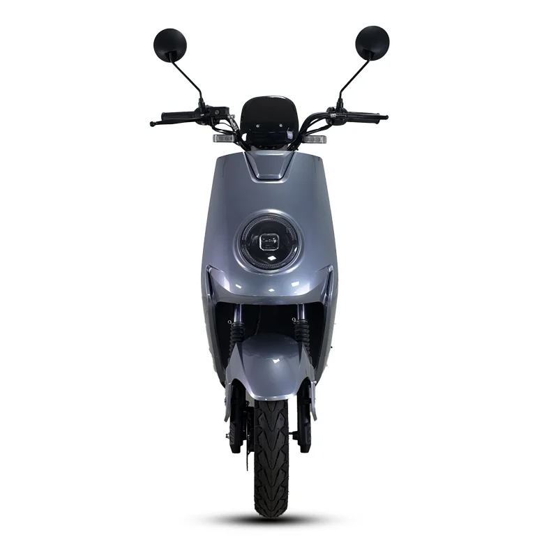 Professional Customization Made in China 1000W 45km/h Electric Bicycle  Electric Motorcycle