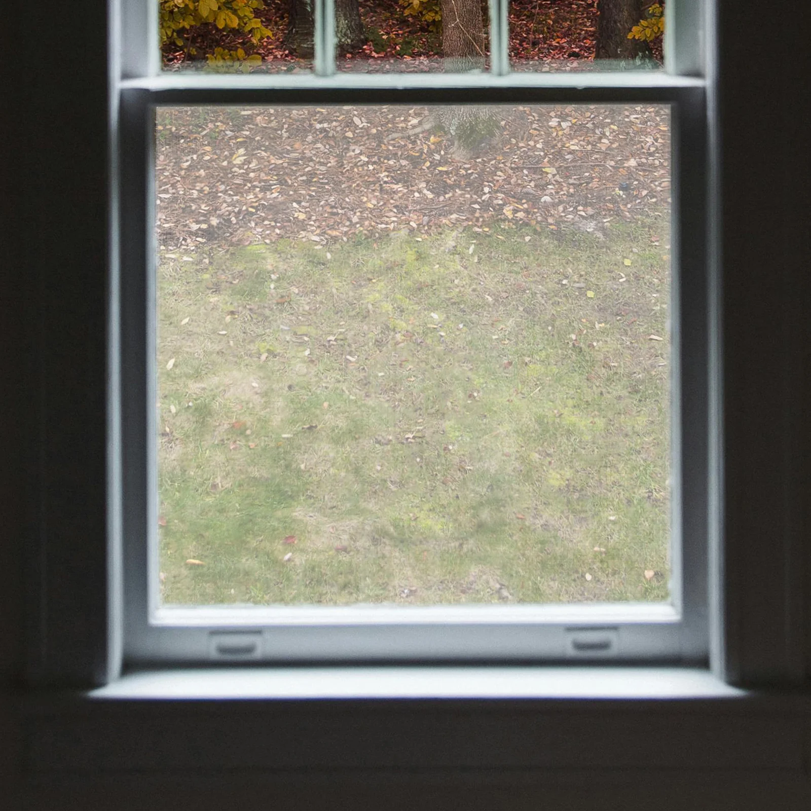 

QUMIIRITY Privacy Window Cling Decorative Glass Sticker Indoor Bathroom Film Static Decal