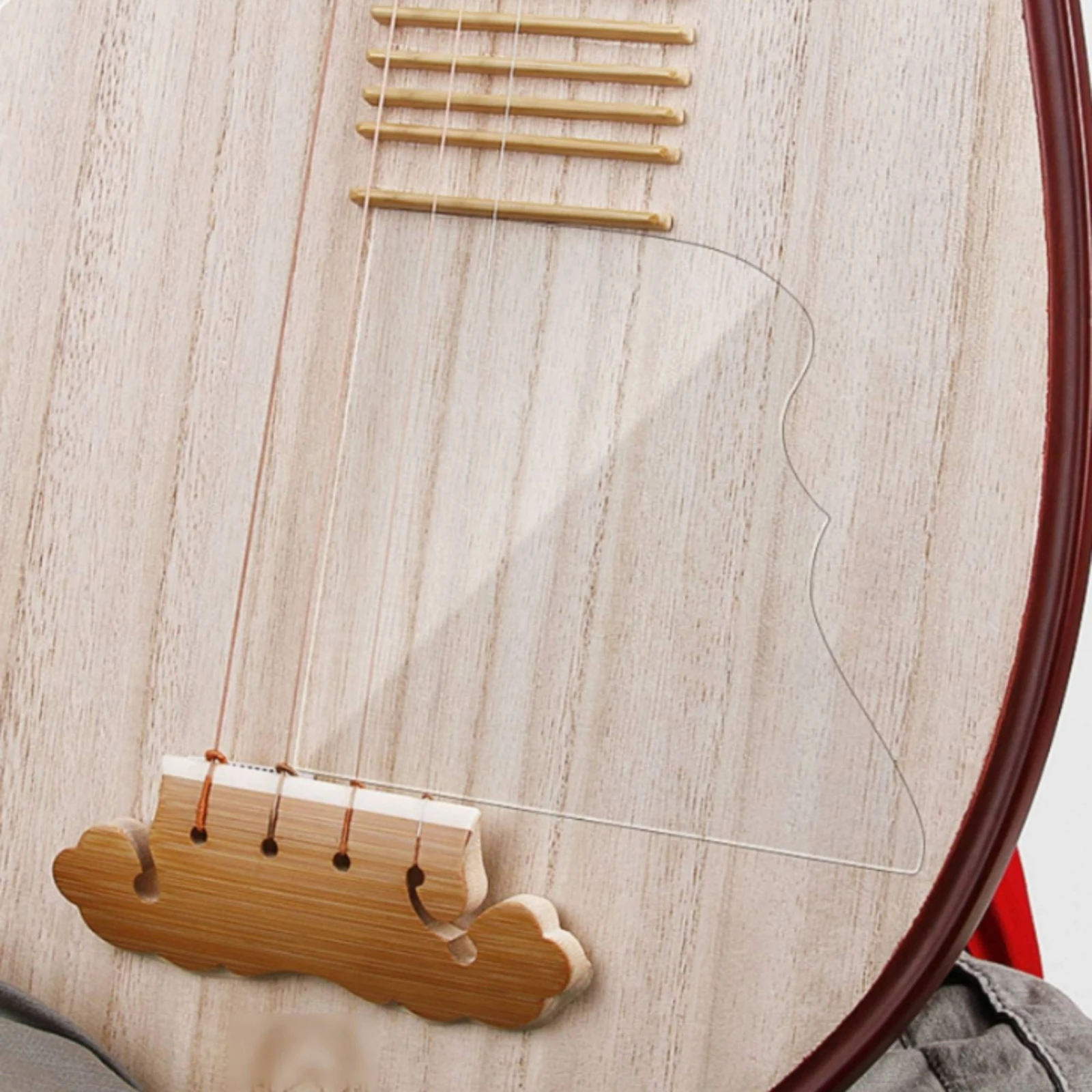 Pipa Guard Safeguarding Zhongruan Guard Panel Protector Removable for Instrument Practice, Performance view 5