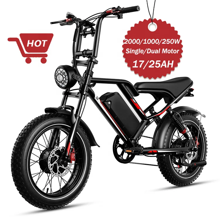 

Remote electric bike with dual single rear hub motor 250W popular bike 2000W
