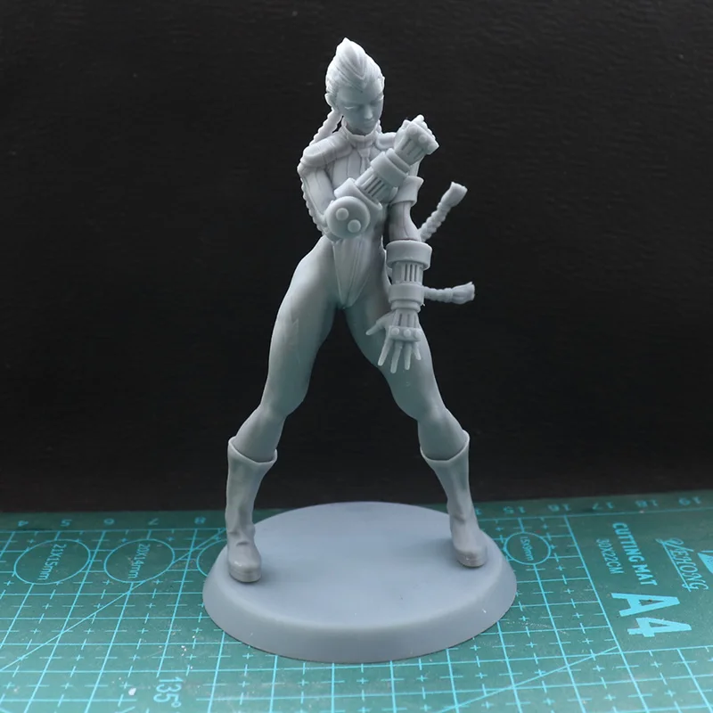 1/24  1/18  Resin Model The Fight Girl Figure Sculpture Unpainted No Color RW-955