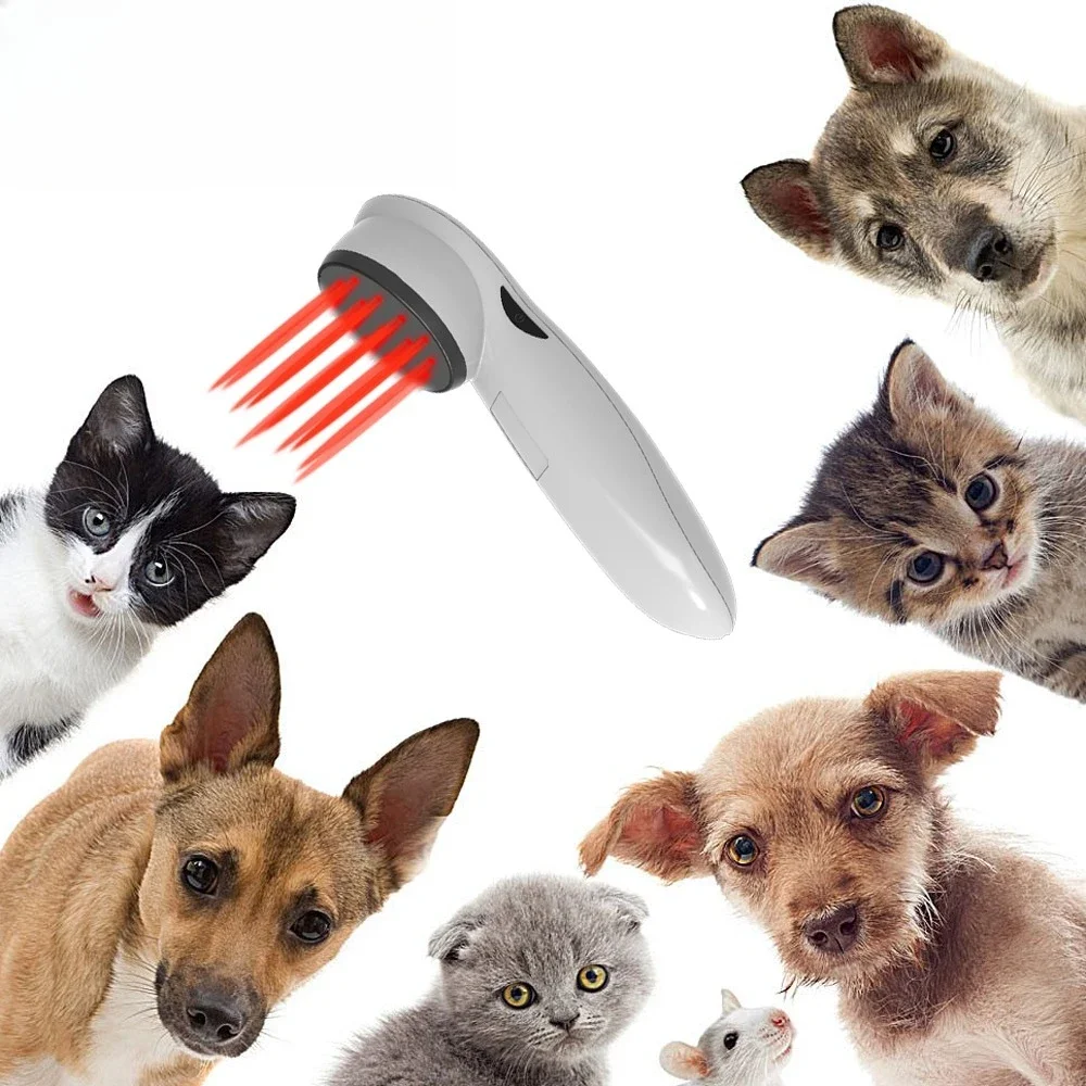 Best Portable Veterinary Cold Laser Therapy Device For Dogs Cats Pets Pain And Inflammation