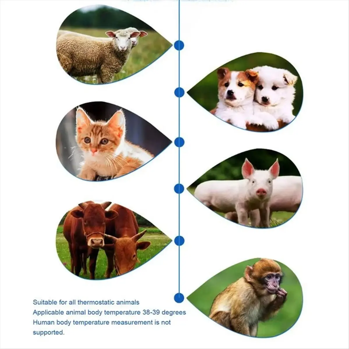 abpo-termometro-de-orelha-para-caes-e-gatos-termometros-para-animais-medicao-eletronica-sem-contato-para-casa-e-clinica