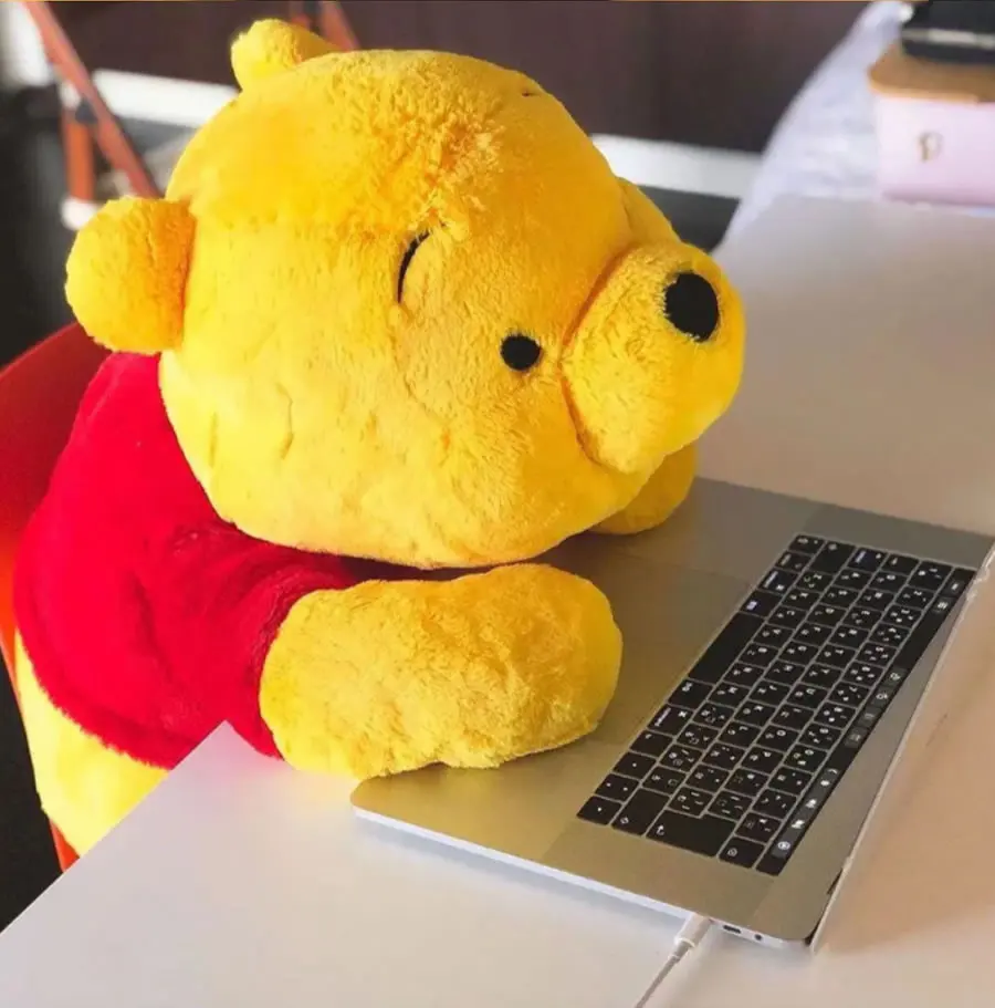 Flauschige große Plüschtiere 55cm Winnie Puuh Kissen Riesiger Plüschbär Niedliche Zimmerdekoration Kuschelkissen für Dekoration Ostergeschenk – Detail 3