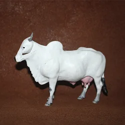 pvc model animal model Rumen Cattle Tropical Cattle zebu cow