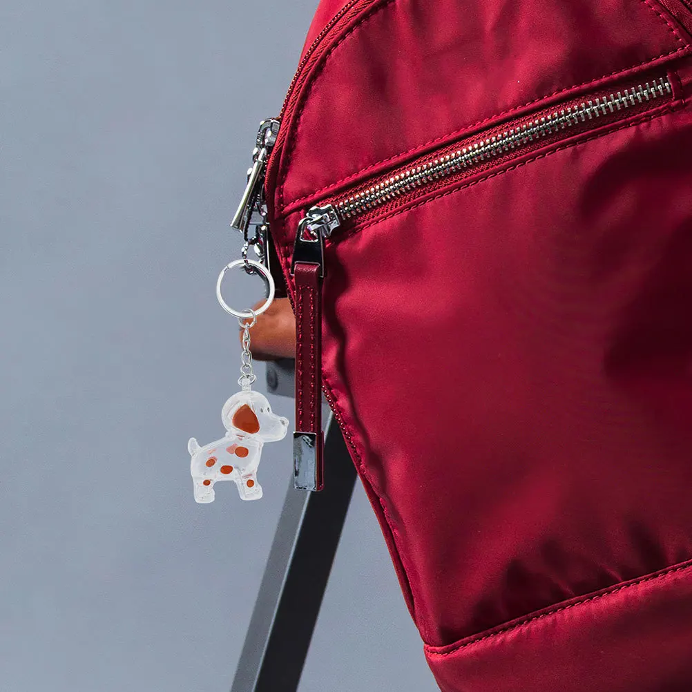 

2Pcs Pet Keepsake Box Transparent Dog Hair Memorial Keychain Storage Charm Pets Hair Memorial Keychaiin Dog Ashes Keychain