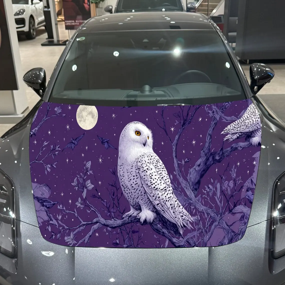 Wildlife Snowy Owl …