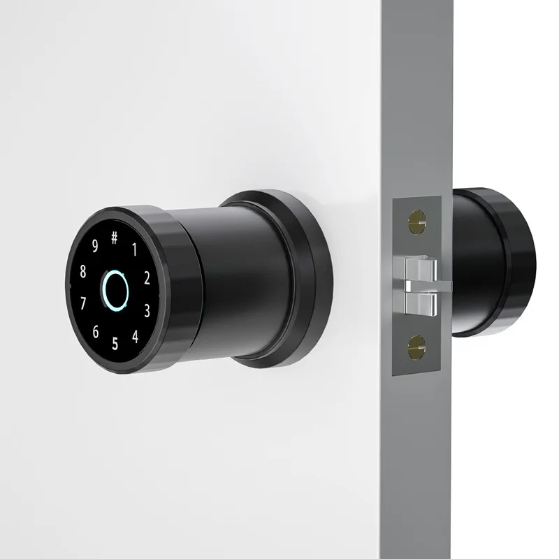 Smart Door Lock Ttlock Smart Door Lock With Tuya App Door Lock Price