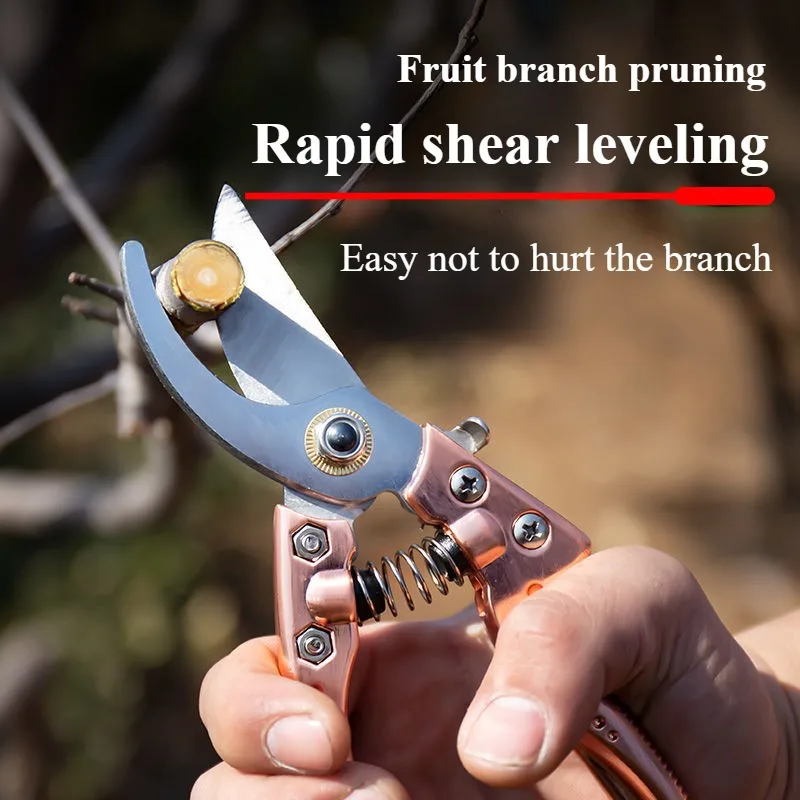 Flower pruning scissors Pruning scissors Fruit pruning scissors Flower pruning scissors