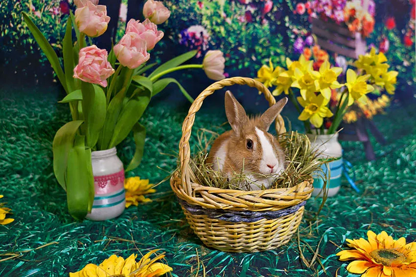 Spring Easter Wood Boards Cross Blessing Tulip Flower Basket Rabbit Bunny Backdrops Natural Scene Photo Studio Decor Backgrounds