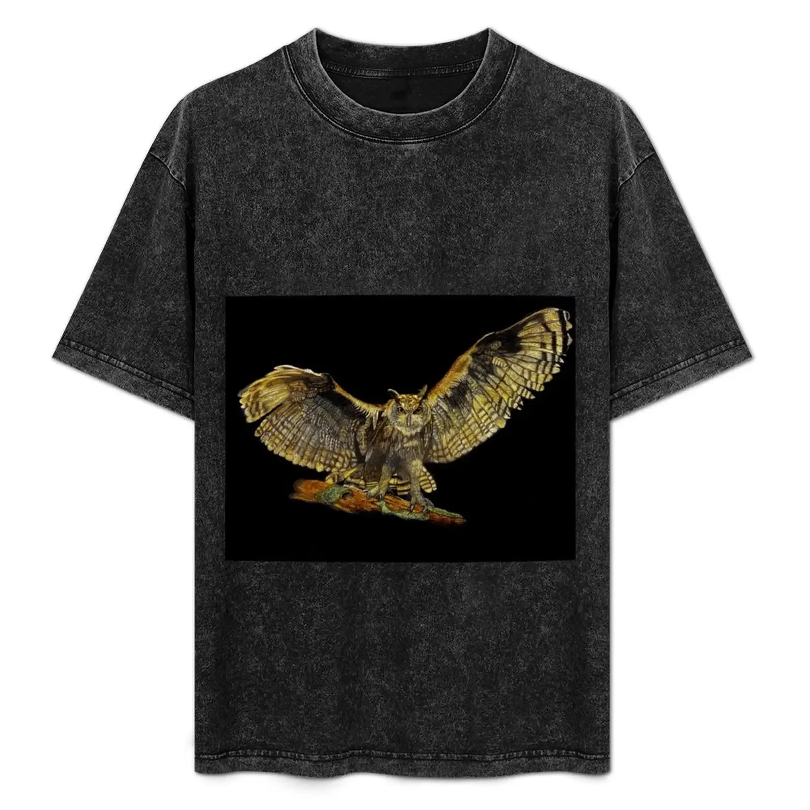 

Owl T-Shirt plus sizes topping animal prinfor boys mens graphic t-shirts pack
