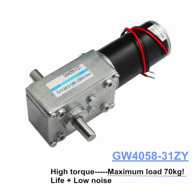 GW4058-31ZY Dual Output Shaft High Torque Turboworm Reduction DC Motor with Self-locking Turbine Worm Gear Motor