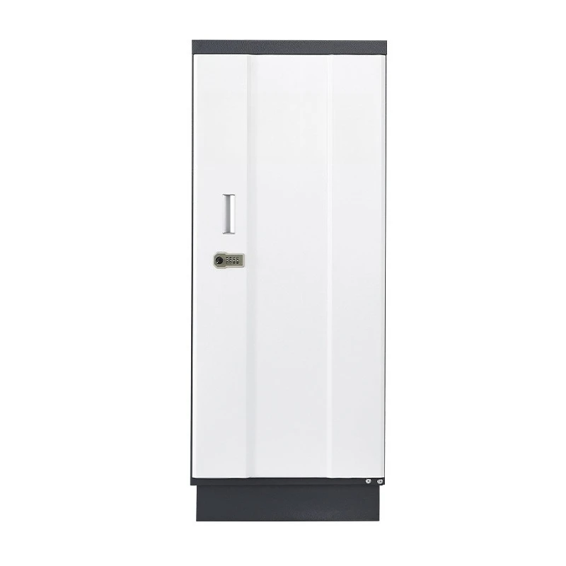 Data information cabinet, archive storage cabinet