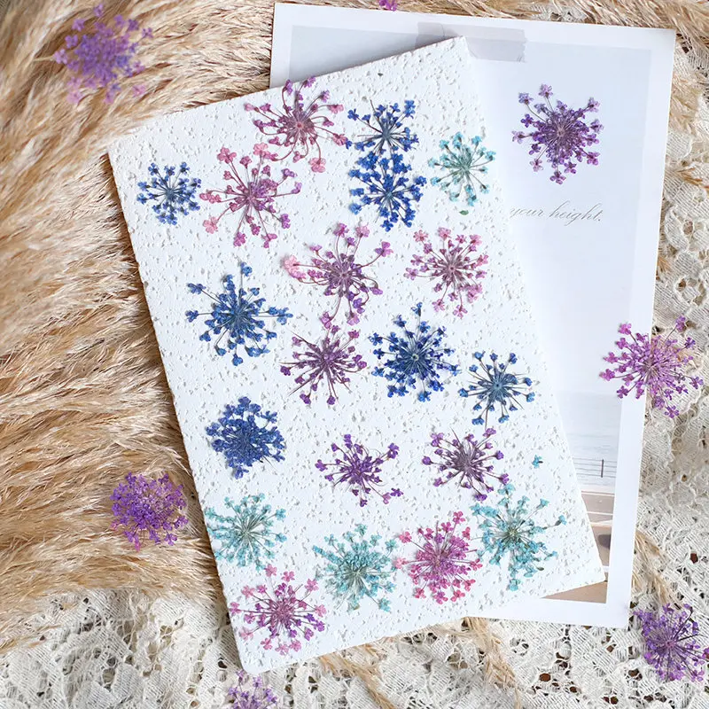 24pcs, 2-2.5cm, Nature Dyed Mini Lace Pressed Flower Petal, Dry Flower DIY Nail Art Resin Jewelry Floral Decor Photo Frame Suppl view 4