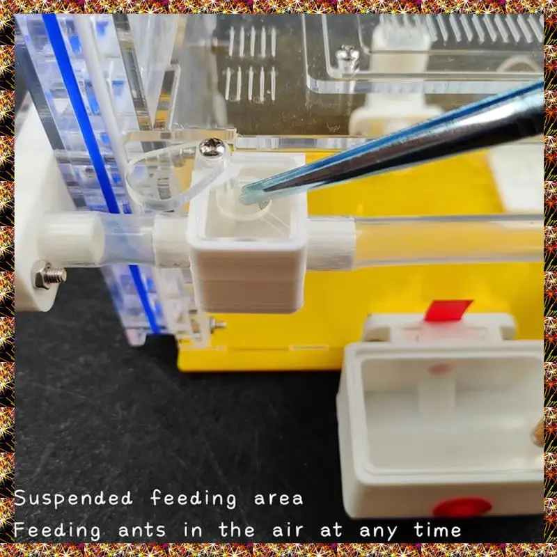 

BTCL Anthill Pet Workshop - T Design Acryl Ant Farm With Special Feeding Area, DIY House Ant Hotel, B