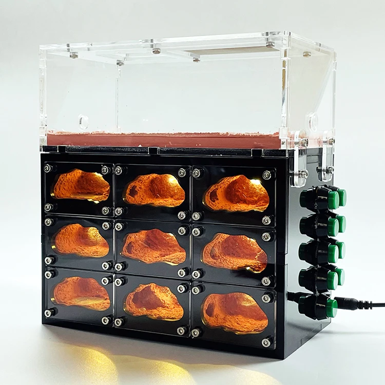 

Экологичная муравьиная ферма с независимым управлением подсветкой через USB, домик для муравьев, бетонная мастерская, муравьиное гнездо, террариум для насекомых