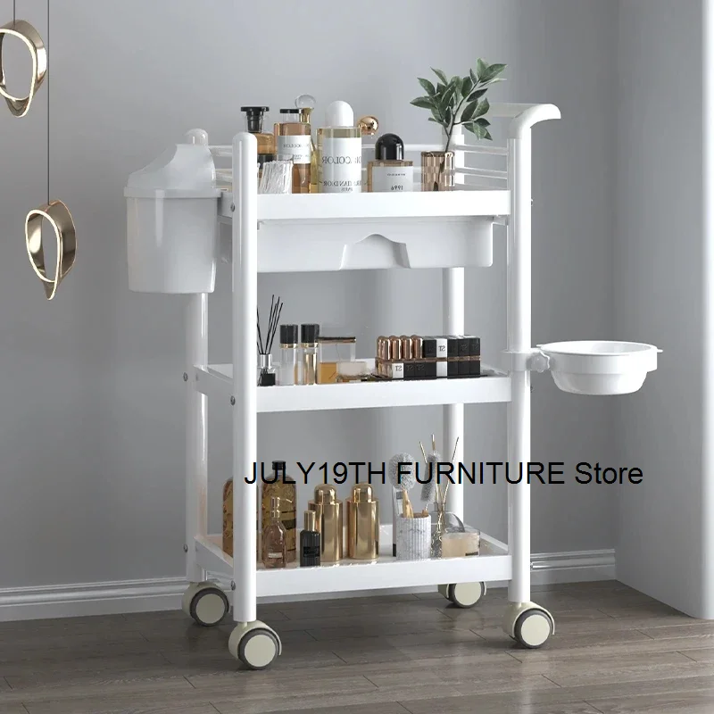 Simple Wrought Iron Salon Trolleys Multi-layer Rack Modern Salon Furniture Beauty Salon Creative Household Trolley with Wheels