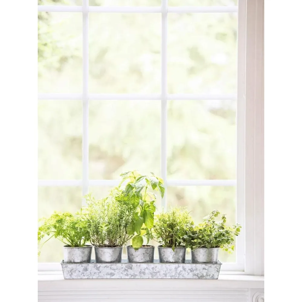 

Gardener's Supply Company Galvanized Herb Planters with Rectangular Tray | Includes 5 Vintage Farmhouse Planters 4" Diameter | P