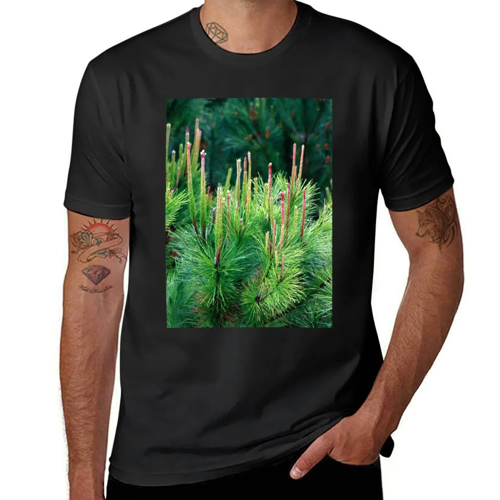 

spring. pine tree T-Shirt for a boy sweat customizeds big and tall t shirts for men