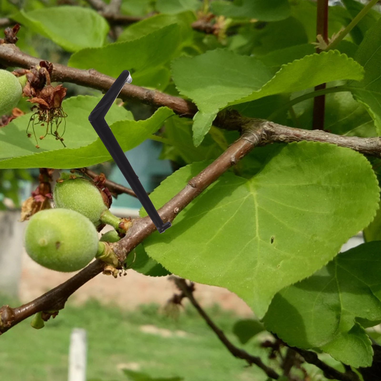 Branch Picker Fruit Expander Tree Limb Spreader Spreader Support for Trees Tool