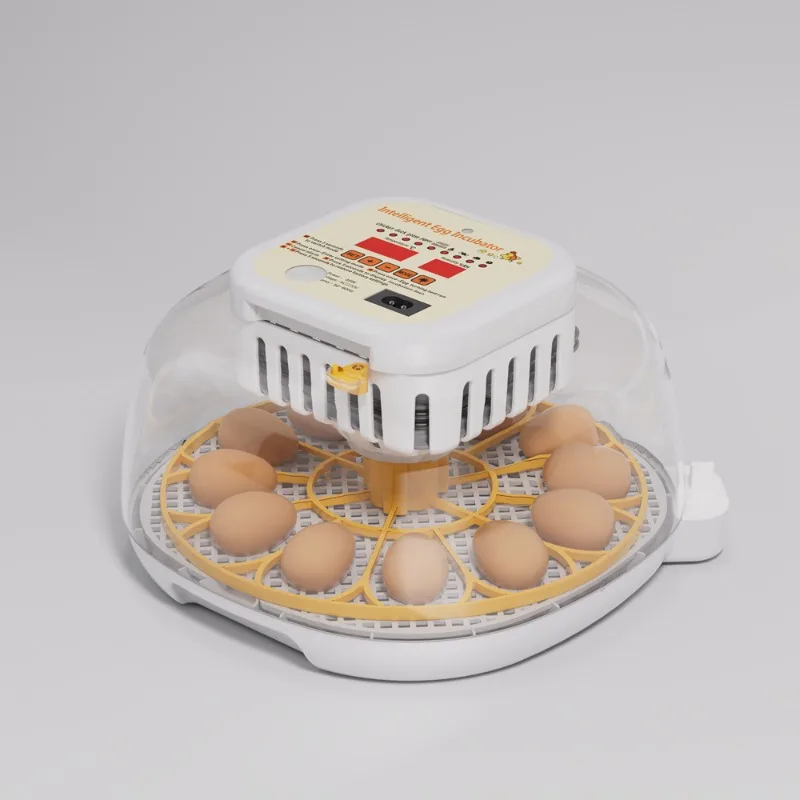 Dual Power Supply Mini Automatic Egg Incubator Chicken Incubator for Hatching Chicken Ducks Birds Eggs