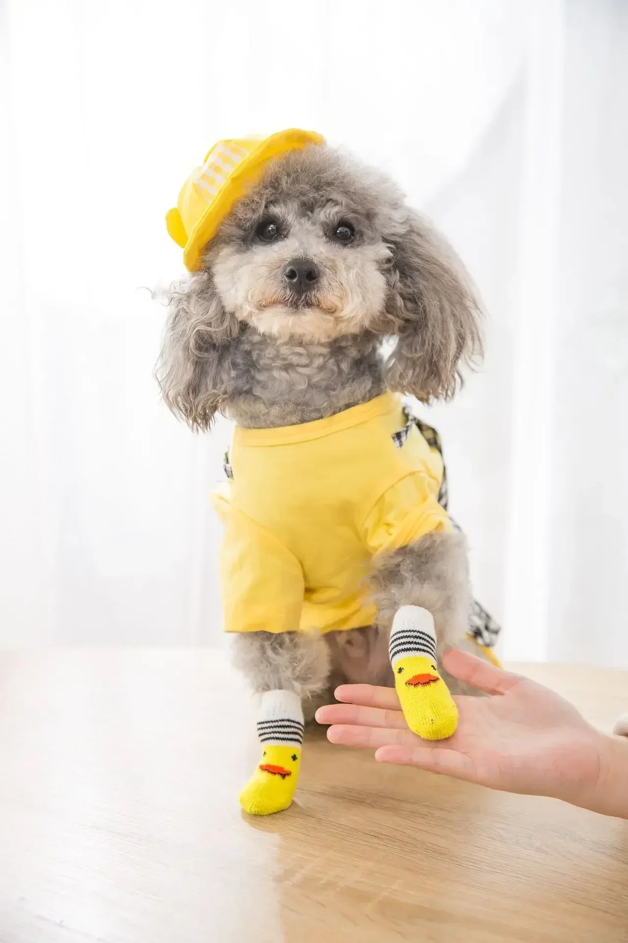 1 Set Pet Socks,  Teddy Dog Cotton Socks, Pet Supplies High-quality Anti Slip Bottom, Small Dog Socks, Dog Foot Covers