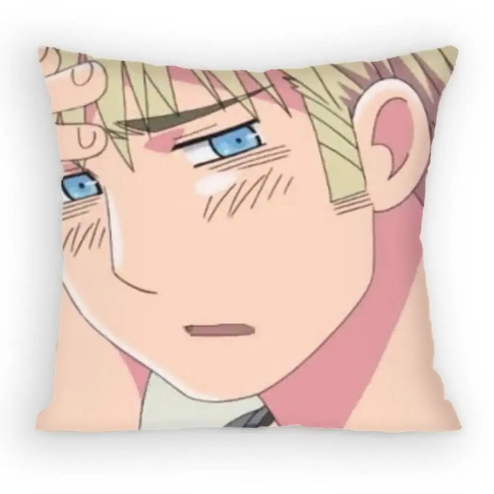 Anime Hetalia World Stars Ludwig Pillow Case Anti-dustmite Pillowcase Invisible zipper silky short plush Sofa cushion cover